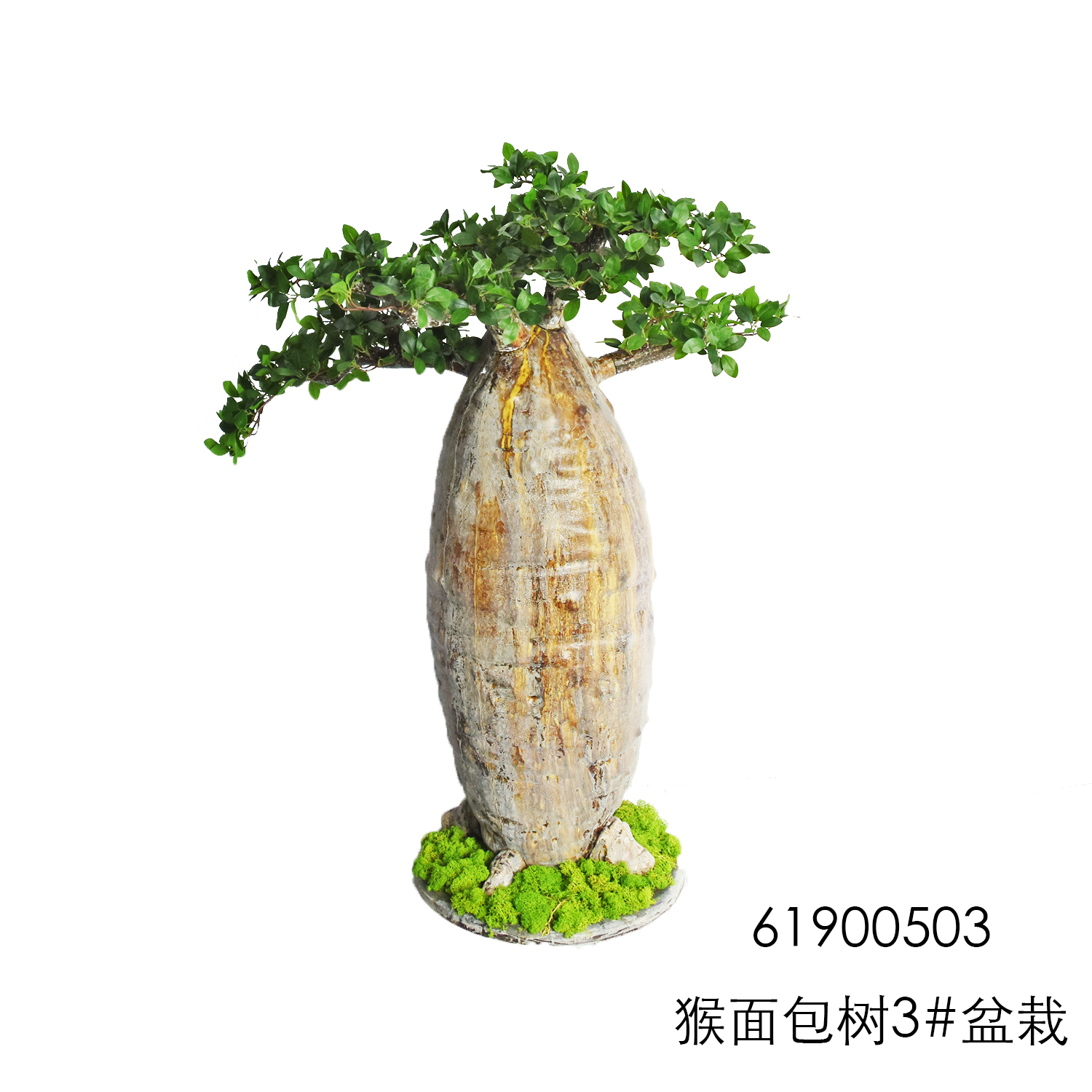 Artificial Baobab Tree Plant Faux Breadfruit Bonsai